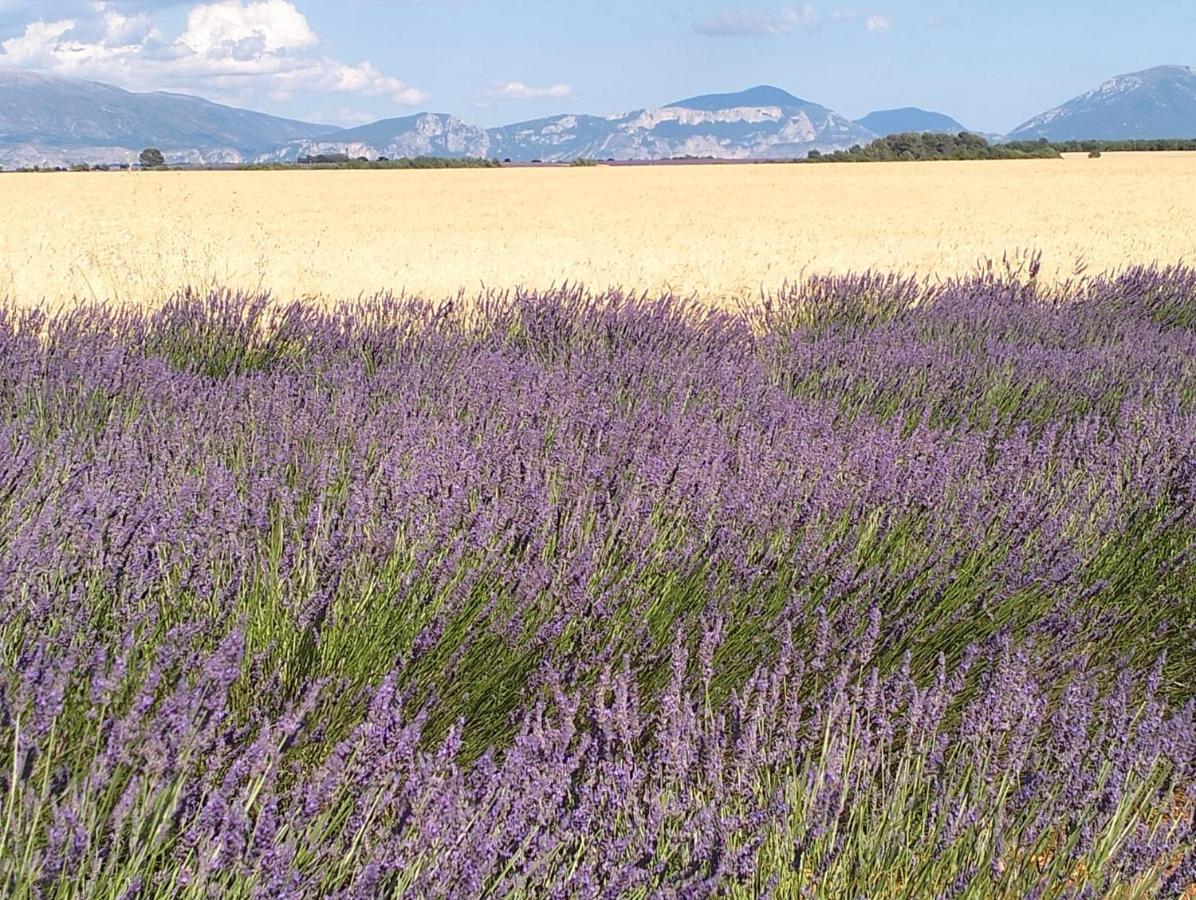 La Provence Vous Attend***!!! - 1Er Etage Дінь-ле-Бен Екстер'єр фото